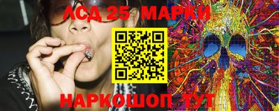 прущие грибы Кунгур