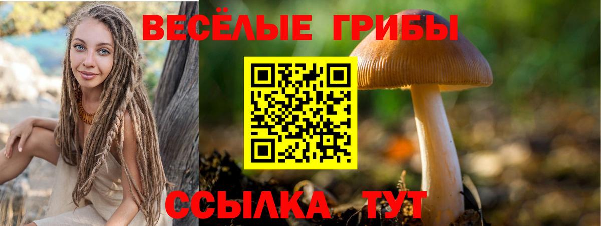 Железногорск  Галлюциногенные грибы Psilocybine cubensis  Галлюциногенные грибы GOLDEN TEACHER  Вход с VPN 